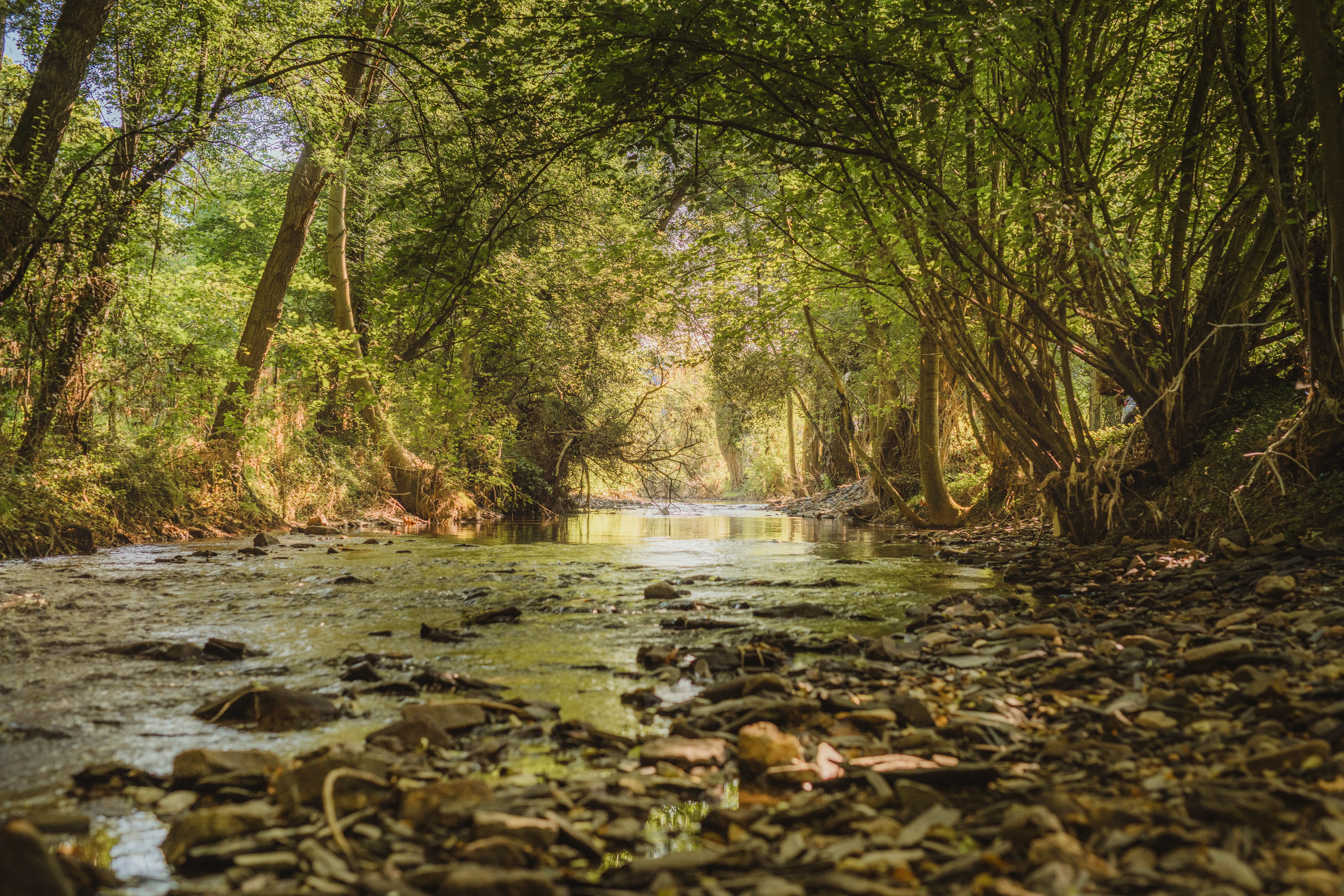 Cottage for 2 people in Dalhem Ô NaNo